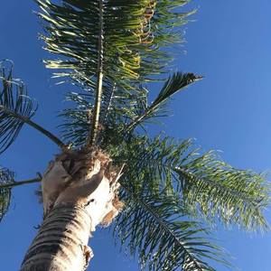 Meet your Posher, Molly